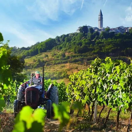El-vina In Kukurini - Istrien * Pićan